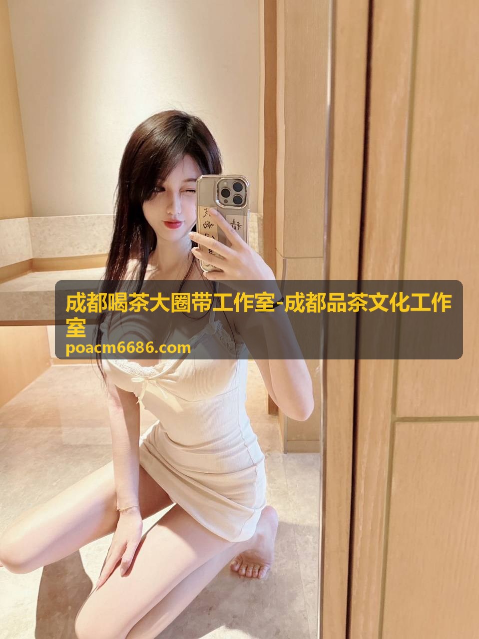 成都品茶文化工作室茶器鉴赏雅集